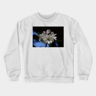 Nature’s Window: Cherry Ice Cream Crewneck Sweatshirt